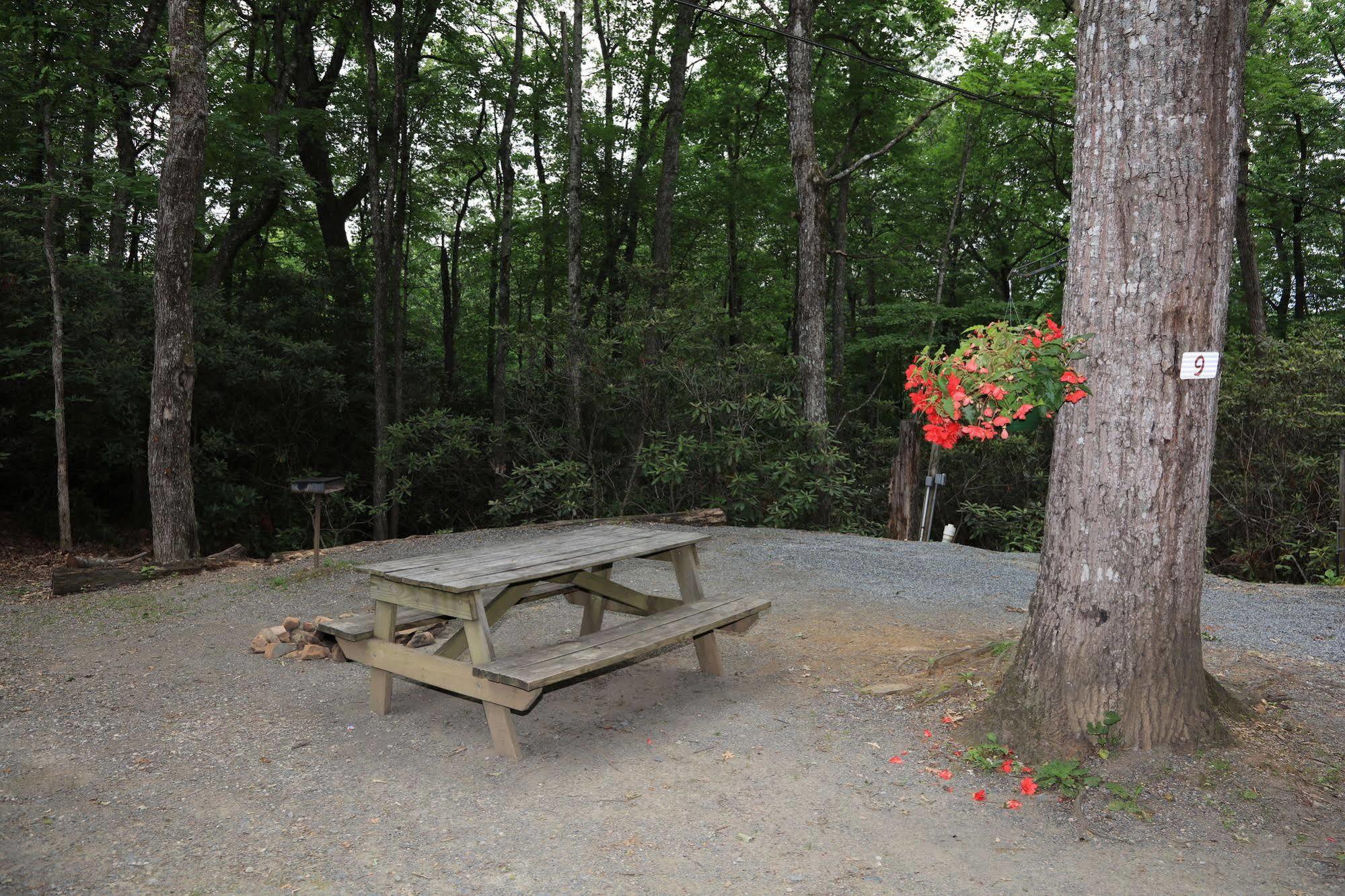 Linville Falls Campground, Rv Park, And Cabins Luaran gambar